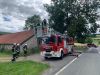 TH-Baumschaden
